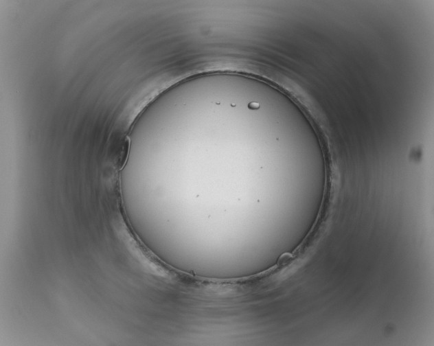 X0000110960993200907022216