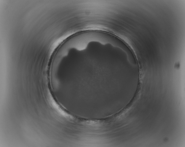 X0000110960995200907022216