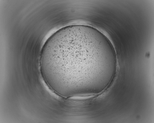 X0000110960997200907022216