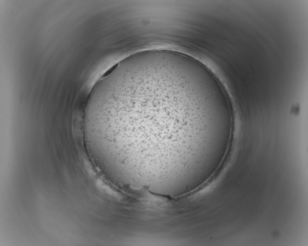 X0000110961001200907022216