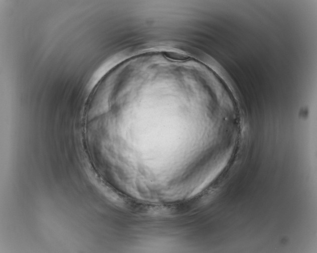 X0000110961002200907022216