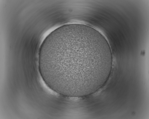 X0000110961003200907022216