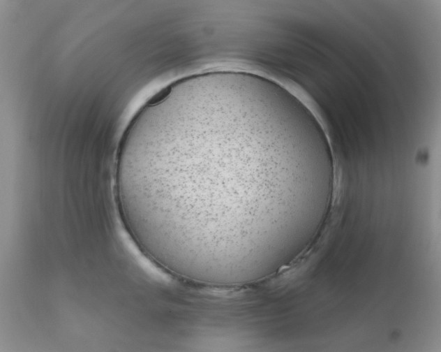 X0000110961005200907022216