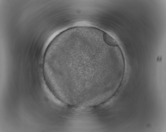 X0000110961008200907022216