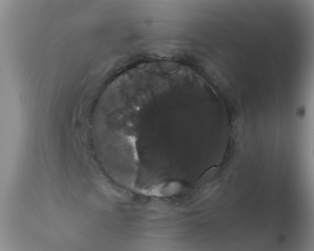 X0000110961009200907022216