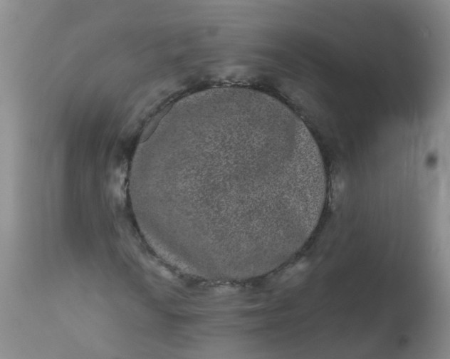 X0000110961010200907022216