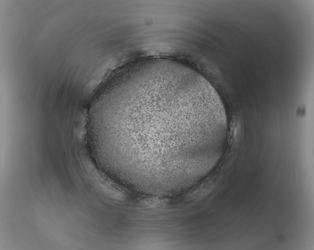 X0000110961012200907022216