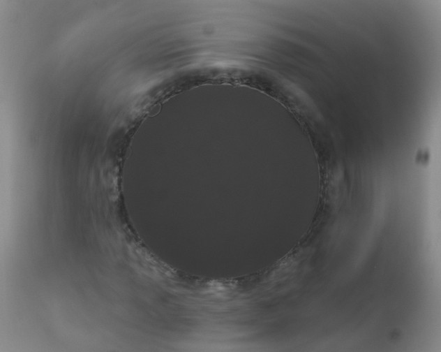 X0000110961013200907022216