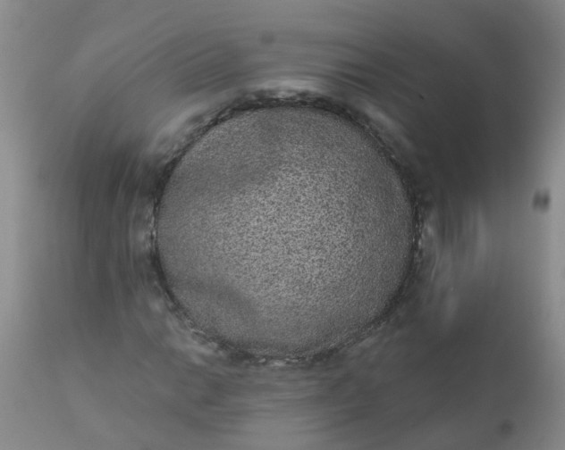 X0000110961014200907022216