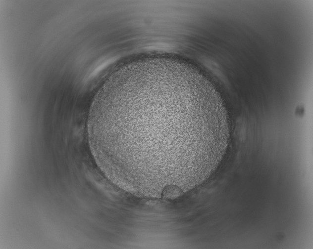 X0000110961015200907022216