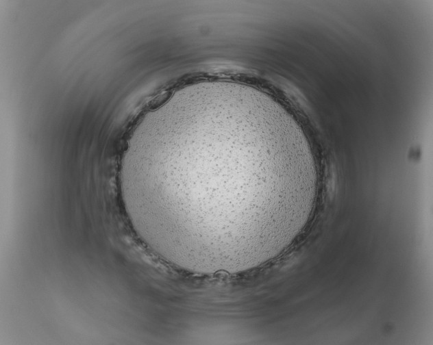 X0000110961016200907022216