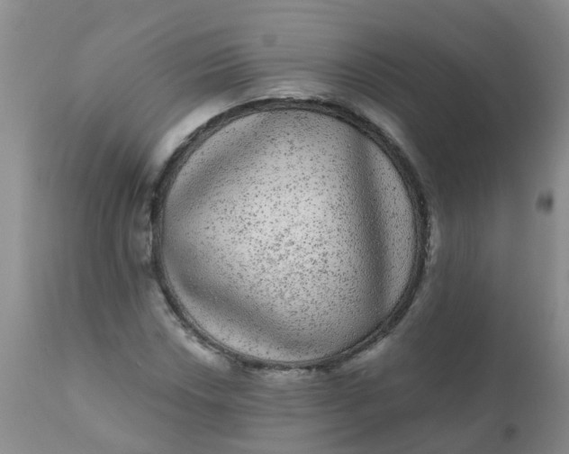 X0000110961018200907022216