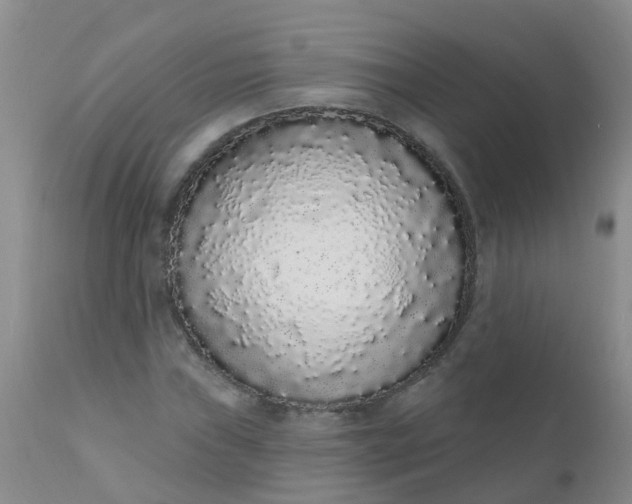 X0000110961019200907022216