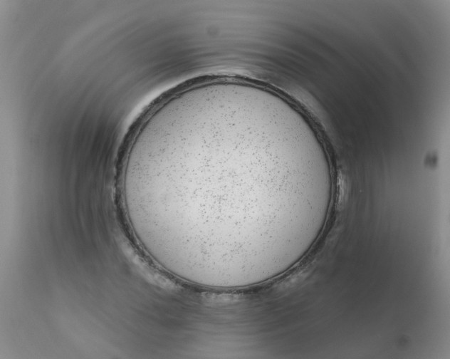 X0000110961020200907022216