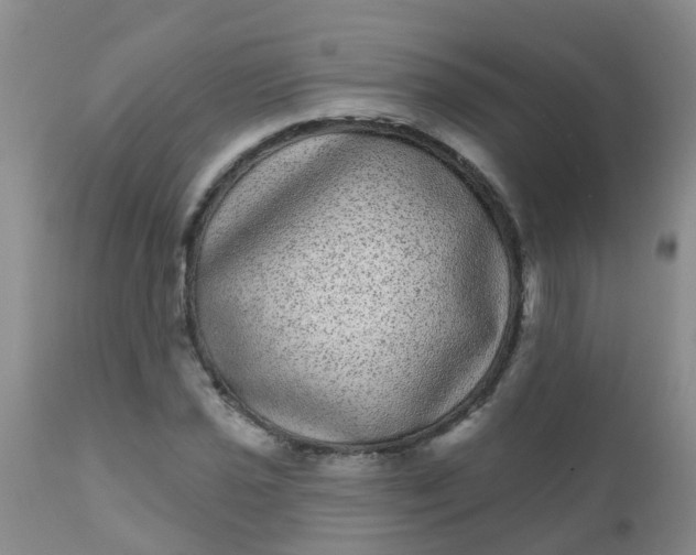 X0000110961021200907022216