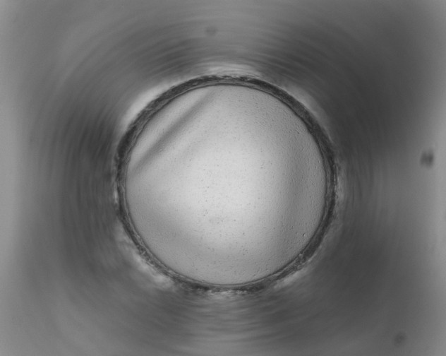 X0000110961022200907022216