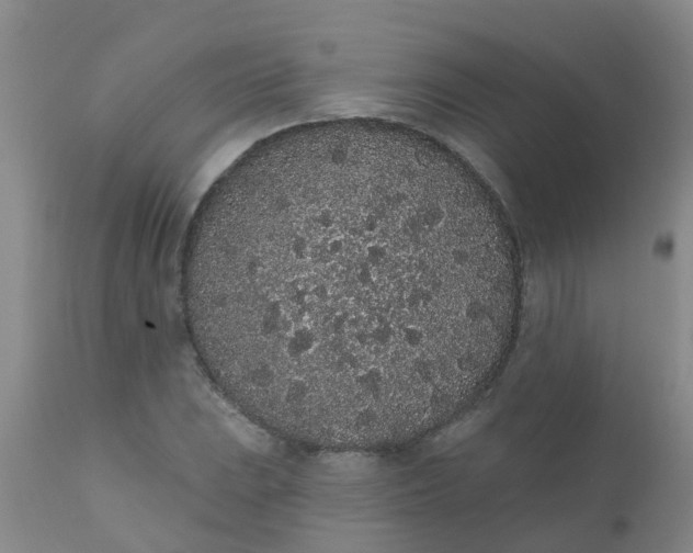 X0000110961023200907022216