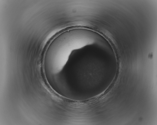 X0000110961024200907022216