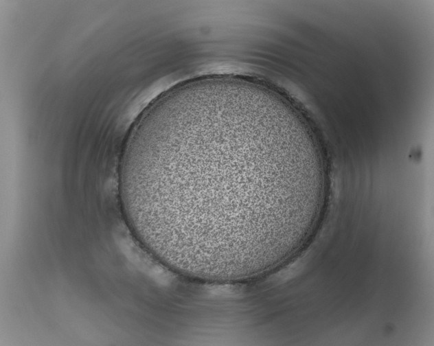 X0000110961025200907022216