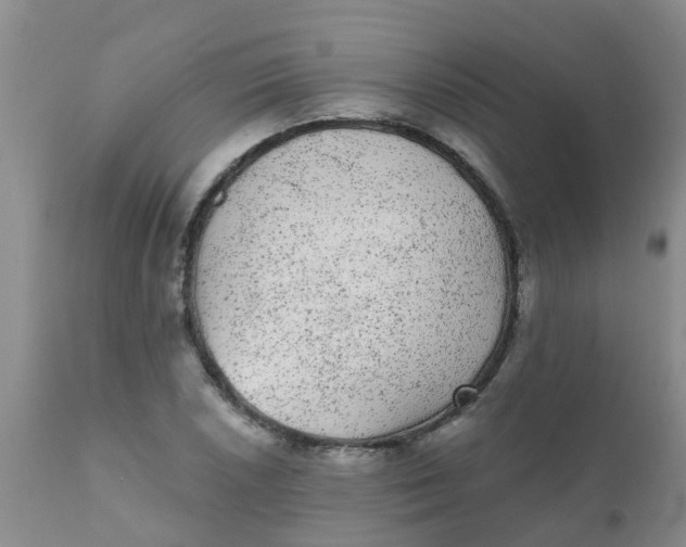 X0000110961026200907022216