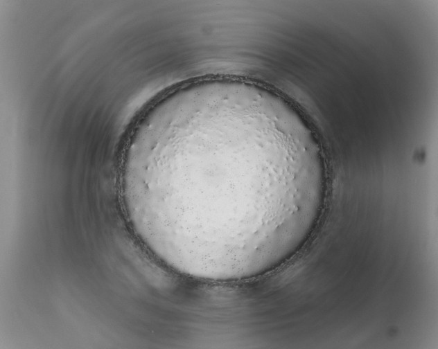 X0000110961027200907022216