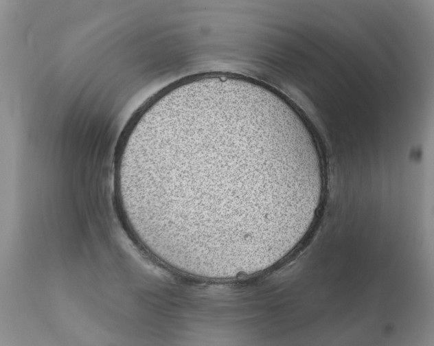 X0000110961028200907022216