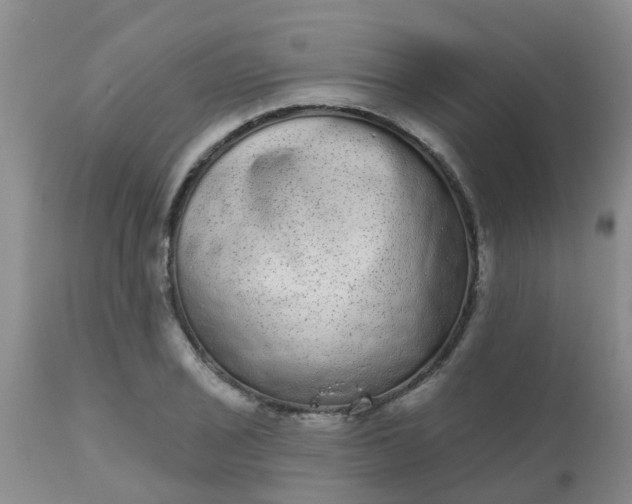 X0000110961029200907022216