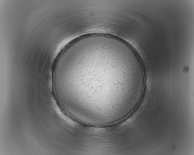 X0000110961030200907022216