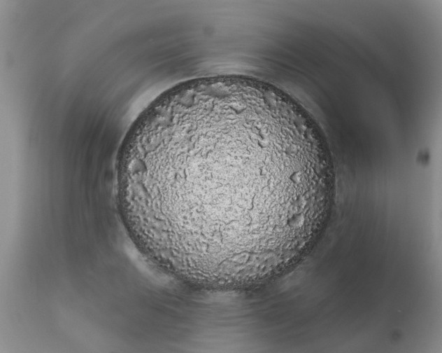 X0000110961031200907022216