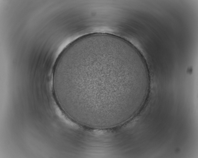 X0000110961032200907022216