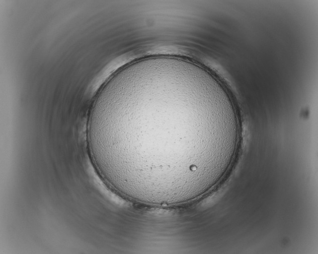 X0000110961033200907022216