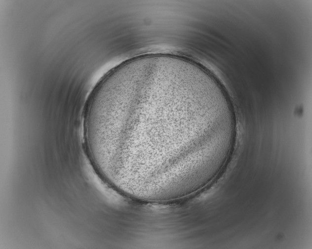 X0000110961034200907022216