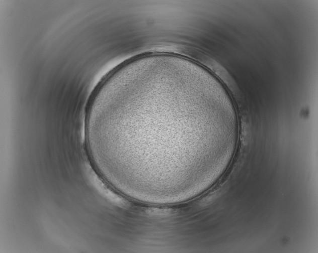 X0000110961036200907022216