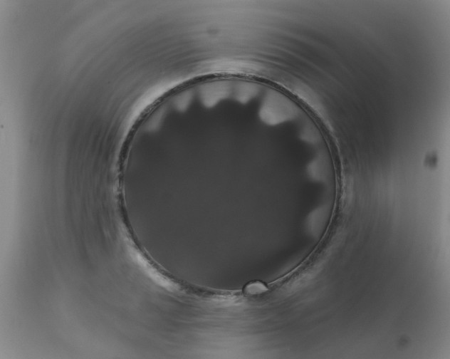 X0000110961037200907022216