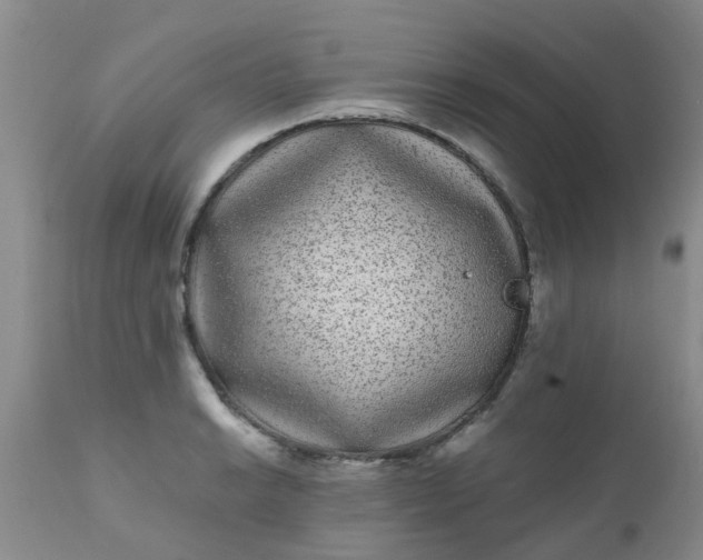 X0000110961038200907022216