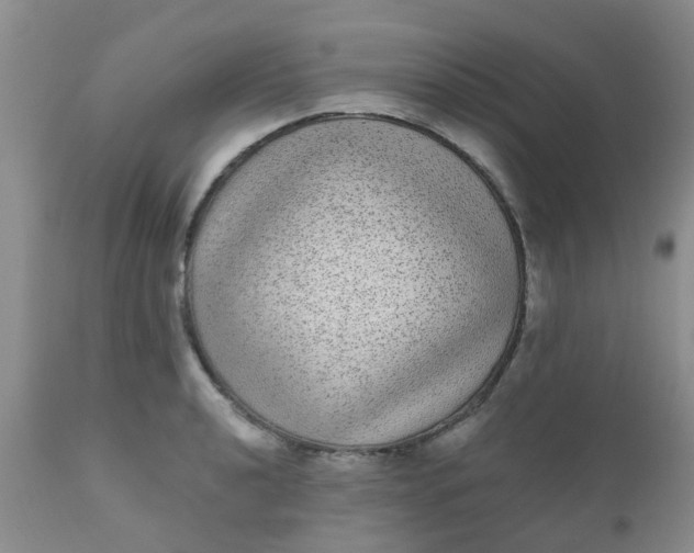 X0000110961040200907022216