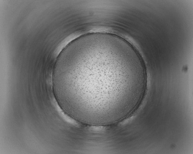 X0000110961041200907022216