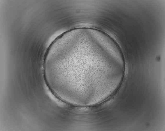 X0000110961042200907022216