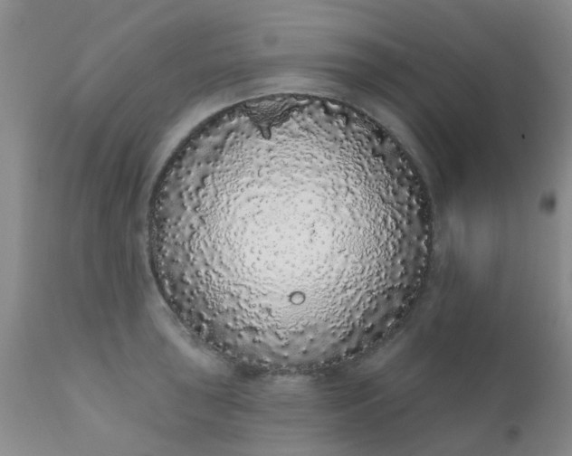 X0000110961043200907022216