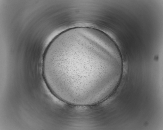 X0000110961046200907022216