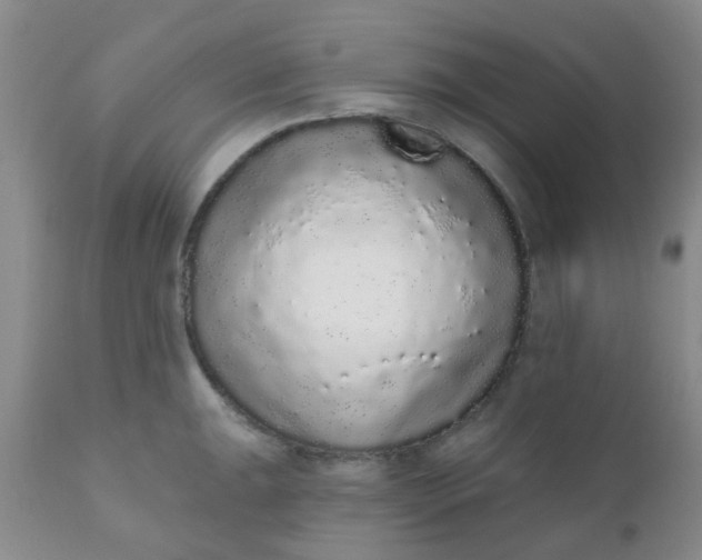 X0000110961047200907022216