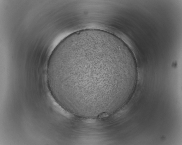 X0000110961048200907022216