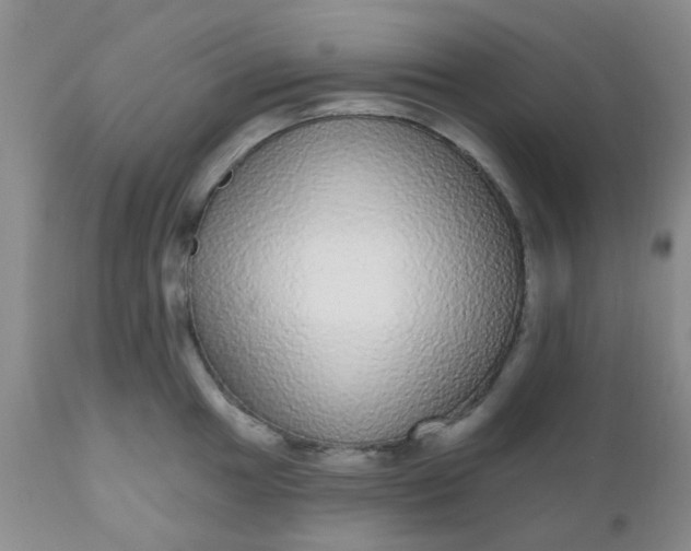 X0000110961049200907022216