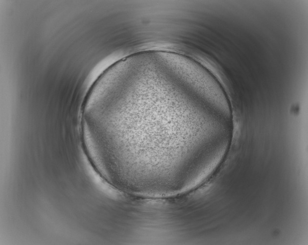 X0000110961050200907022216