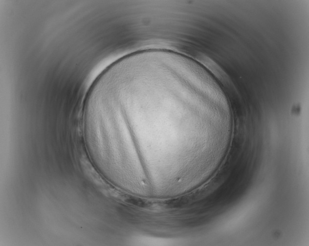 X0000110961052200907022216