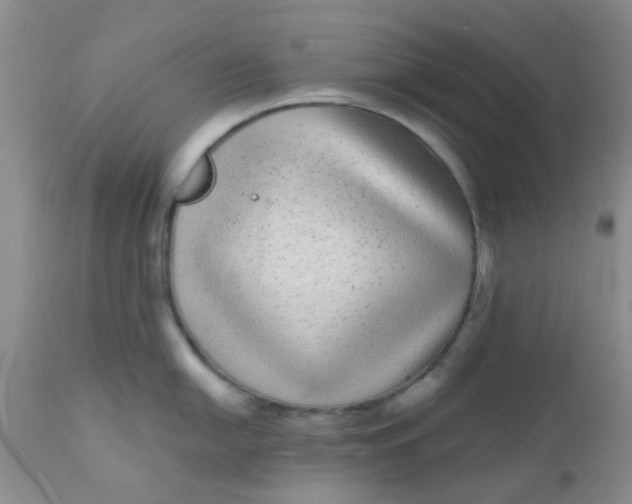 X0000110961054200907022216