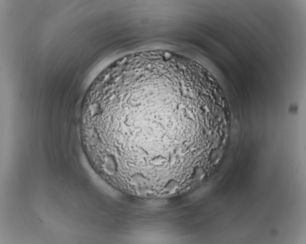 X0000110961055200907022216