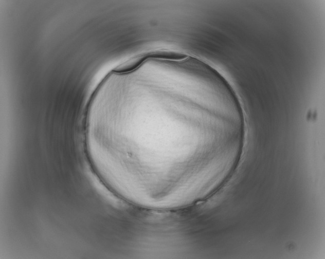 X0000110961056200907022216