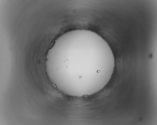 X0000110961057200907022216