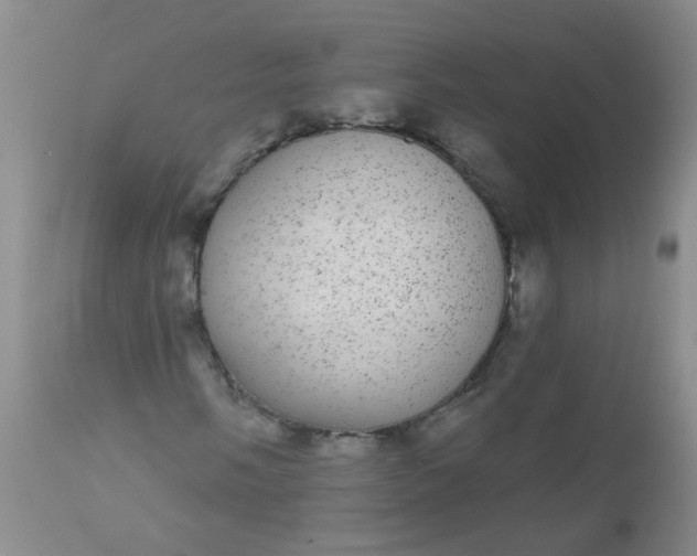 X0000110961058200907022216